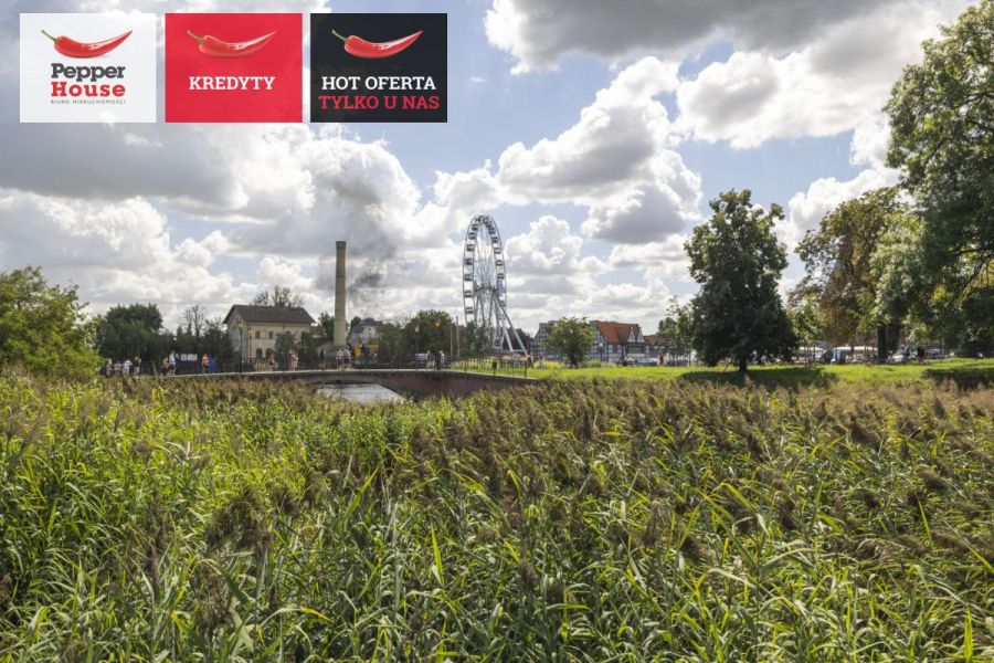 Gotowy lokal usługowy w sercu Gdańska!: zdjecie 99307847