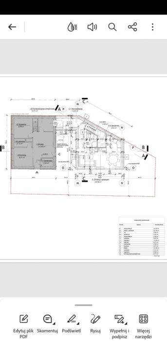 Dom z ogrodem 300m od Martwej Wisły: zdjecie 99317803