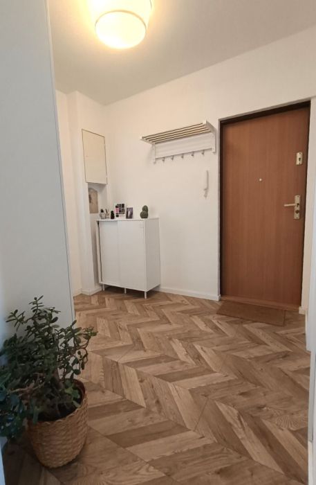 2 pokoje + osobna kuchnia przy Galerii Bałtyckiej | 50 m²: zdjecie 99323522
