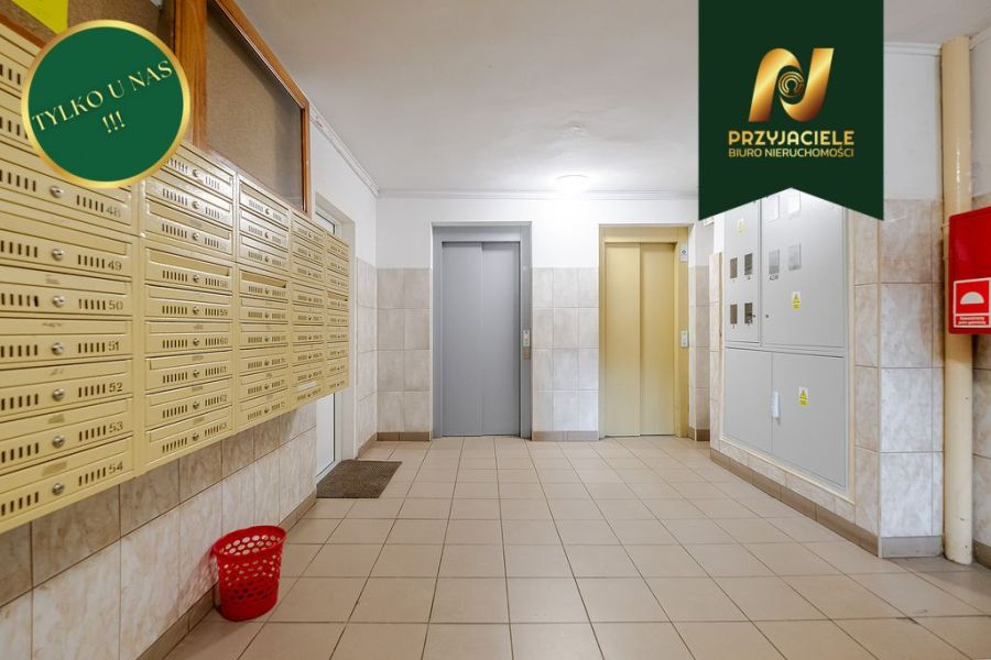 Sopot Braodwino, 3 pokoje, blisko morza: zdjecie 99461631