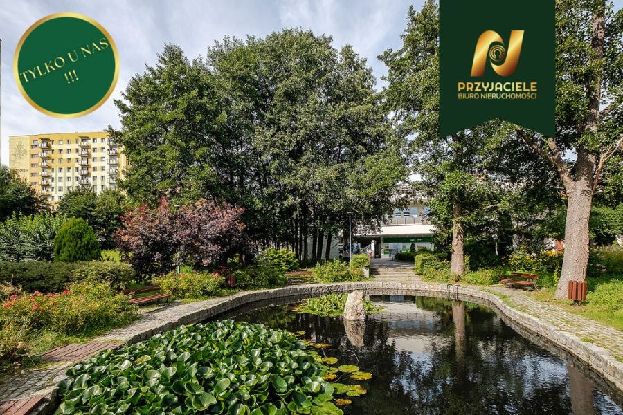 Sopot Braodwino, 3 pokoje, blisko morza: zdjecie 99461634