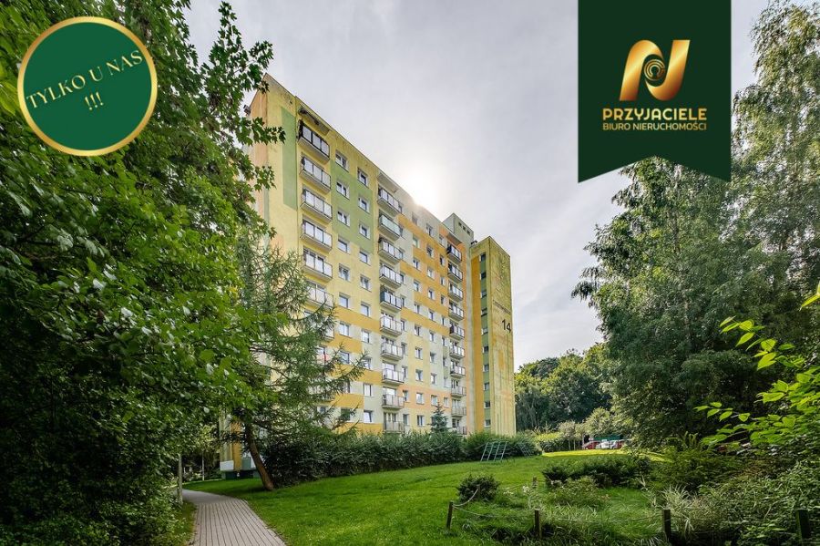 Sopot Braodwino, 3 pokoje, blisko morza: zdjecie 99461635