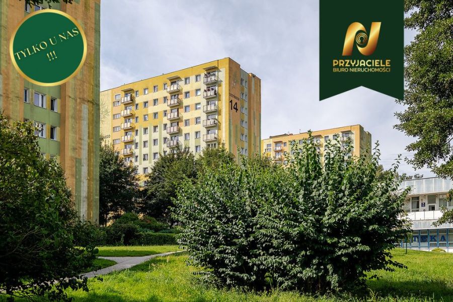 Sopot Braodwino, 3 pokoje, blisko morza: zdjecie 99461636