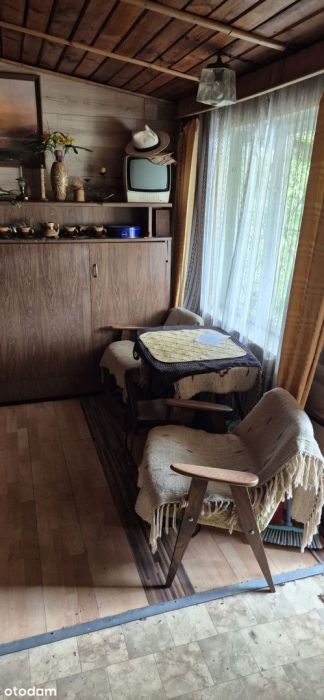 Atrakcyjna działka ROD Remontowiec Ujeścisko-Łostowice ul.Łabędzia: zdjecie 99331280