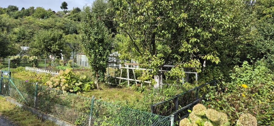 Atrakcyjna działka ROD Remontowiec Ujeścisko-Łostowice ul.Łabędzia: zdjecie 99391549