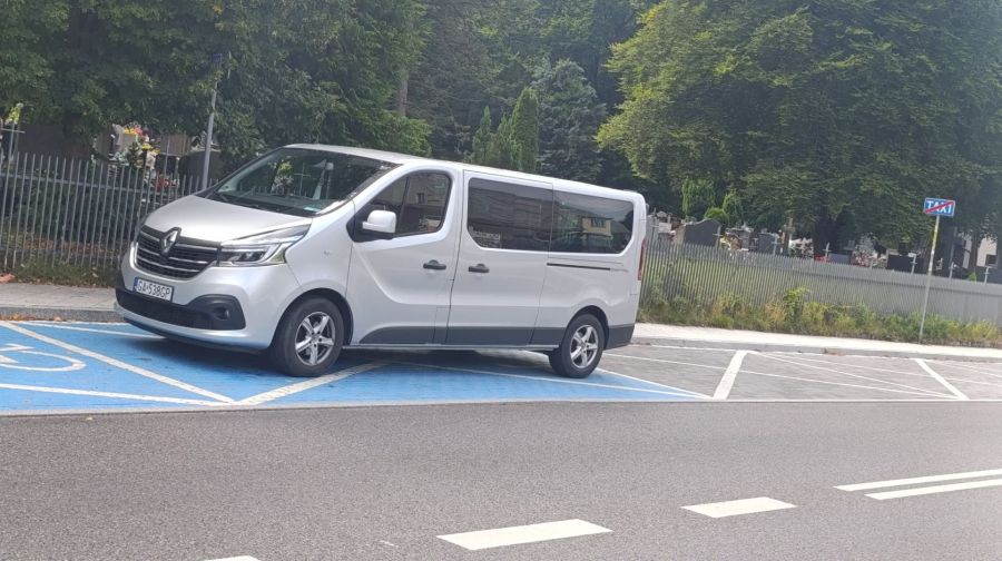 Transport osób niepełnosprawnych na wózkach, transfery lotniskowe: zdjecie 99340861