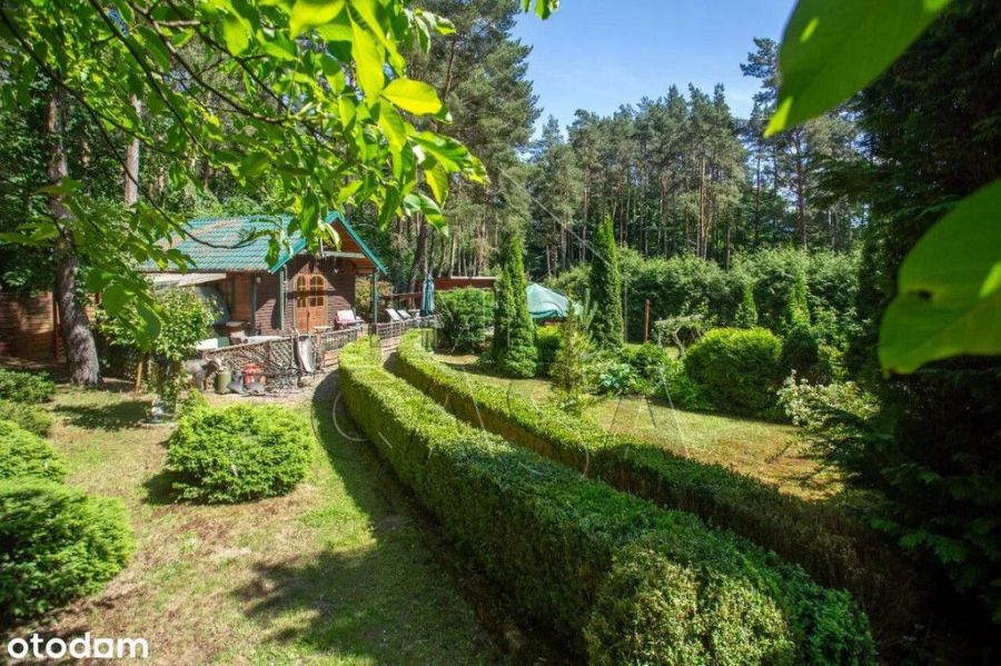 Dom w lesie - 1km od jeziora. Kaszuby!: zdjecie 99449762