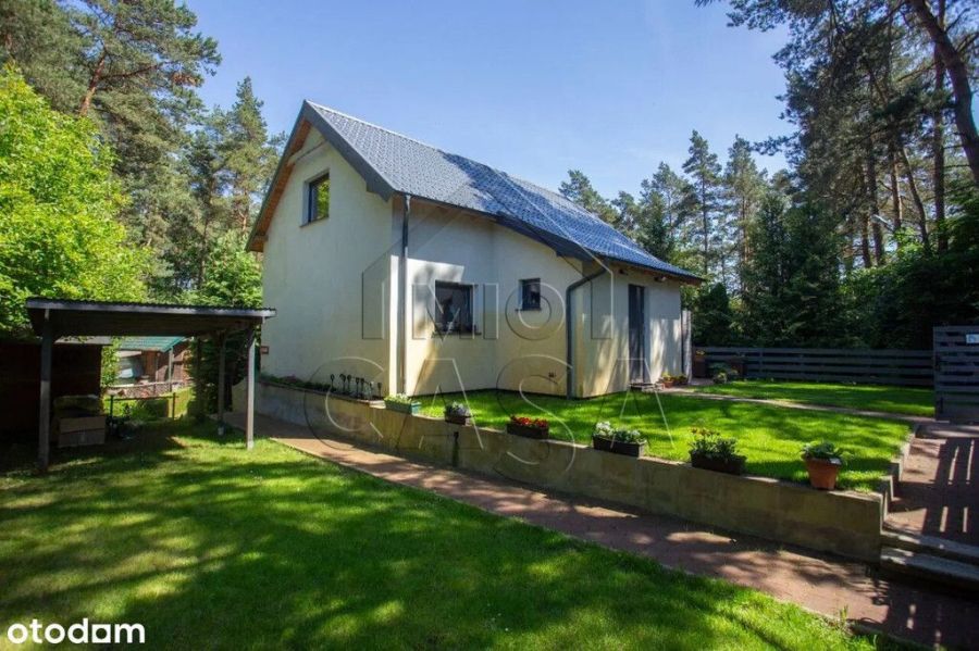 Dom w lesie - 1km od jeziora. Kaszuby!: zdjecie 99449764