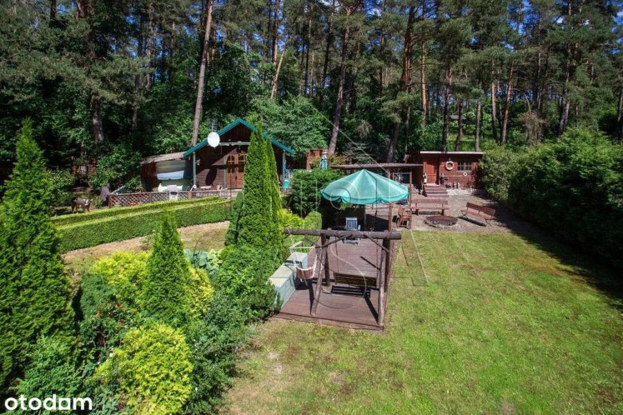 Dom w lesie - 1km od jeziora. Kaszuby!: zdjecie 99449765