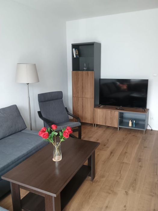 Mieszkanie ul. Podleckiego, Łostowice, 45m2, 2 pokoje: zdjecie 99358111