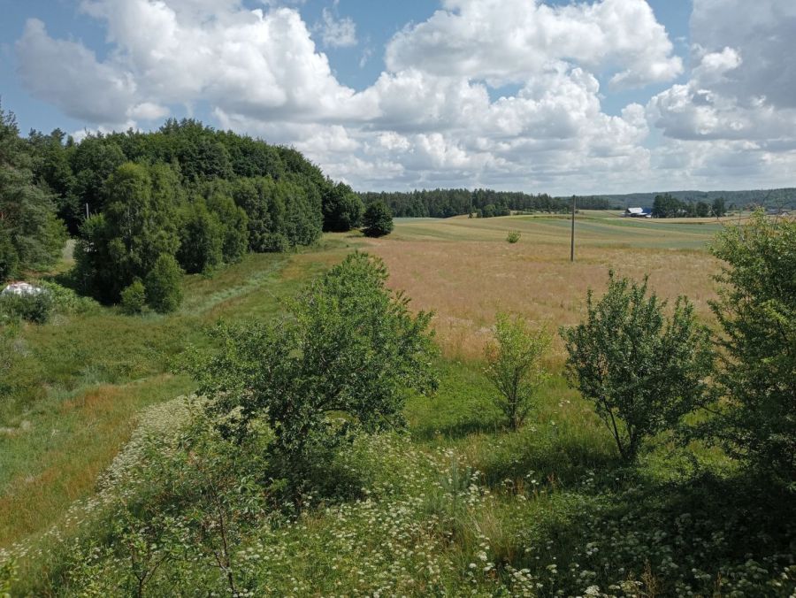 Działki rekreacyjno-budowlane: zdjecie 99359600