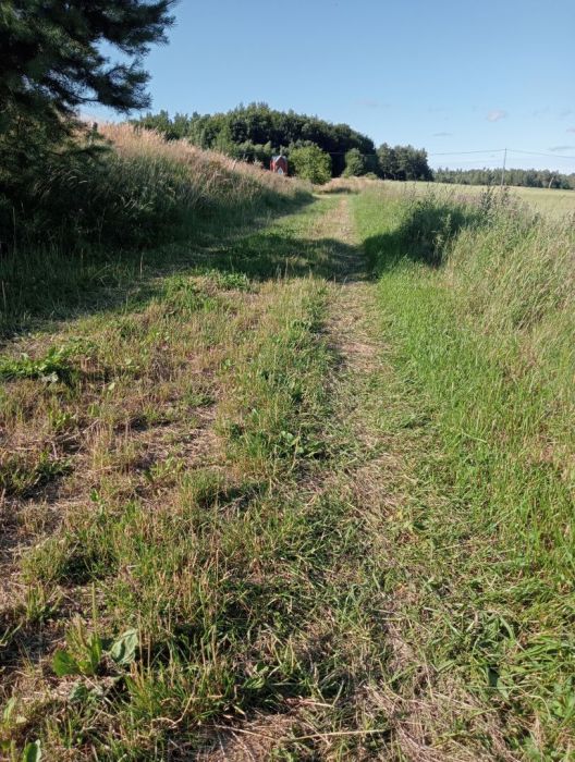 Działki rekreacyjno-budowlane: zdjecie 99359602