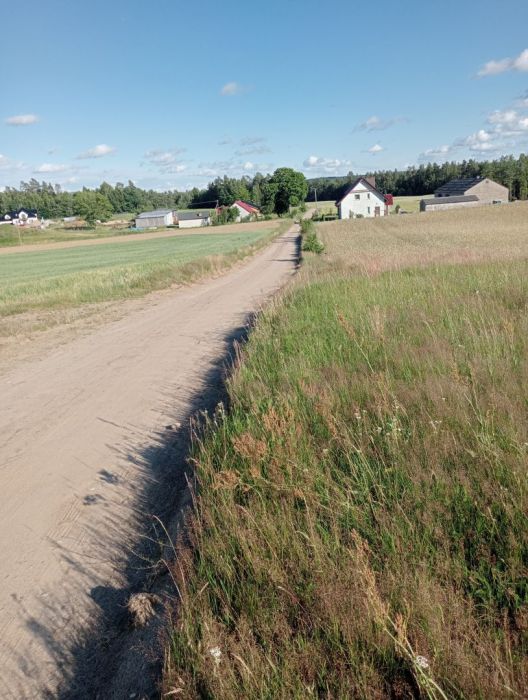 Działki rekreacyjno-budowlane: zdjecie 99359603
