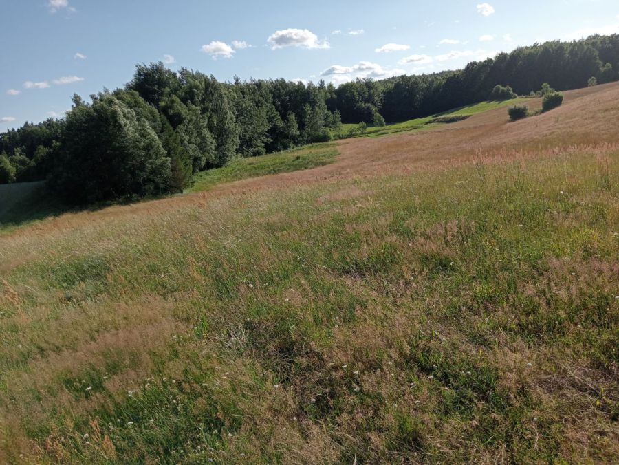 Działki rekreacyjno-budowlane: zdjecie 99359604