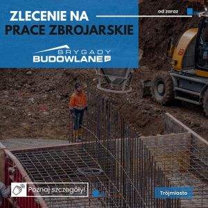 Prace zbrojarskie od zaraz - wsparcie budowy - Trójmiasto: zdjecie 66525576