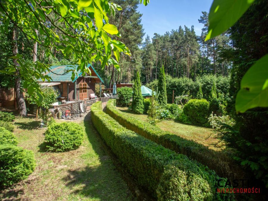 DOM przy lesie | 103 m² | Działka 1221 m² |: zdjecie 99368762
