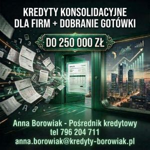Firmo, masz kilka zobowiązań i wiele rat?Kredyt do 250 tys.: zdjecie 66527037