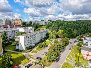 3-pokojowe mieszkanie na skraju lasu: zdjecie 66527708