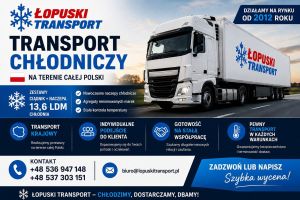 Transport chłodniczy, spedycja: zdjecie 66527713