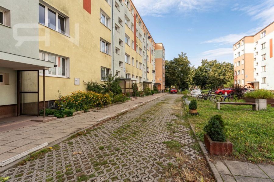 Żabianka | 2 pokoje | SKM, tramwaj, plaża: zdjecie 99380187
