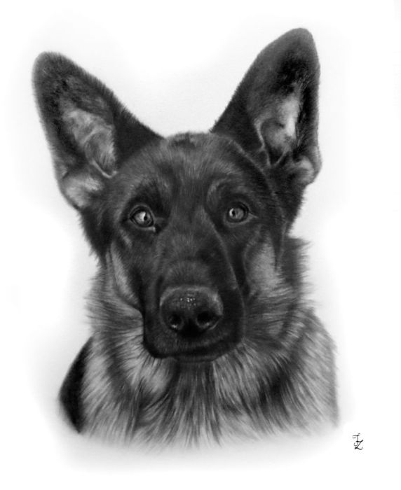 Portret ze zdjęcia na zamówienie | wyjątkowy prezent: zdjecie 99399089
