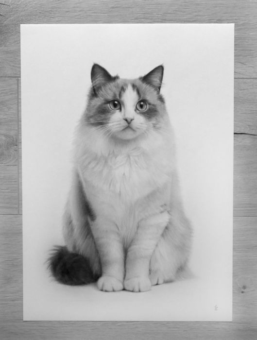 Portret ze zdjęcia na zamówienie | wyjątkowy prezent: zdjecie 99399090