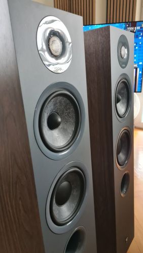 Focal chora 816 ,nowe, para, za  60%  ceny sklepowej.: zdjecie 66531909