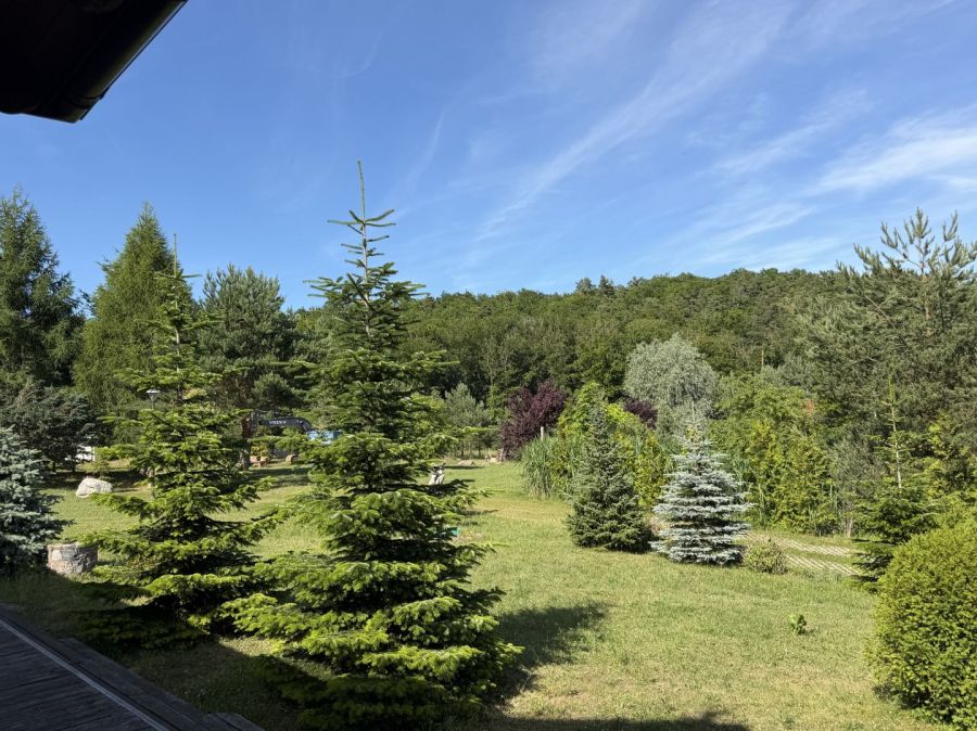Działka 2019 m² z Domem 380 m² | Prestiżowa Okolica: zdjecie 99408423