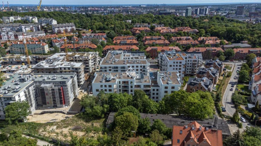 Ogród 100 m&sup2; | szybkie wydanie | miejsce w hali: zdjecie 99411295