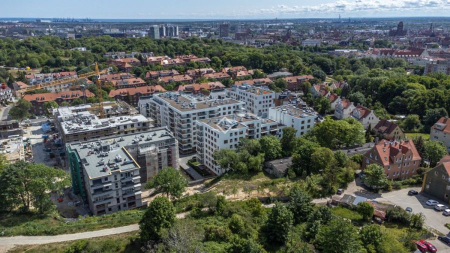 Ogród 100 m&sup2; | szybkie wydanie | miejsce w hali: zdjecie 99411296