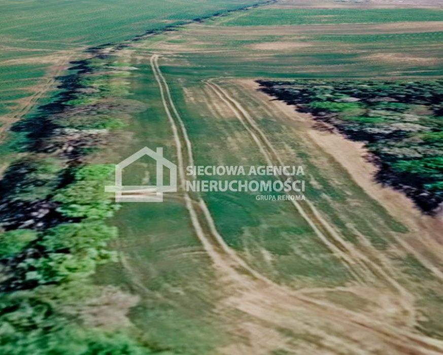 Działka rolna 3000 m2 Bychowo/Gniewino