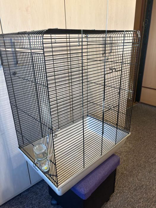 Klatka dla szczurka: zdjecie 99417652