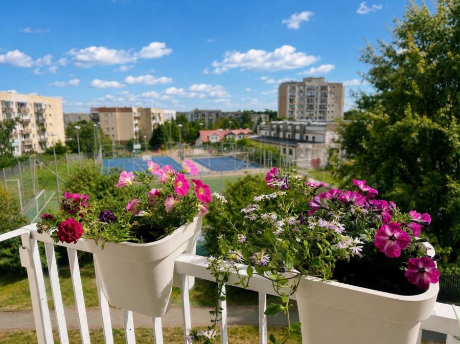 Przytulne mieszkanie sp. wł. 3 pok.|po remoncie|Gdynia Karwiny: zdjecie 99418610