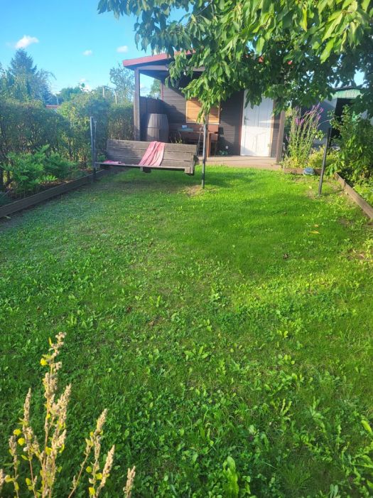 Ogródek: zdjecie 99422356