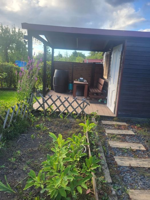 Ogródek: zdjecie 99422357