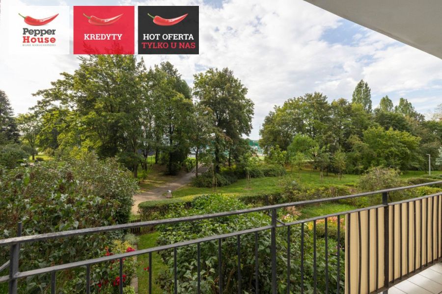 Gdańsk Zaspa 2 pokoje, odzielna kuchnia, balkon: zdjecie 99422501