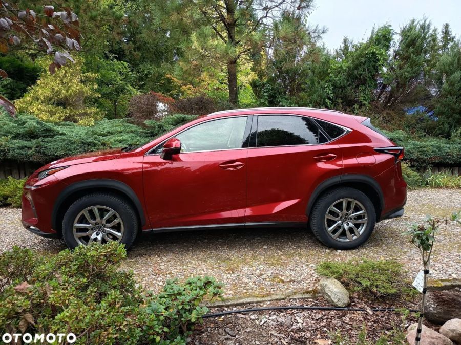 Lexus Testmodel