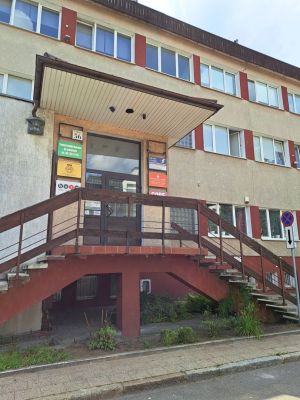 lokal biurowy do wynajęcia: zdjecie 66535000