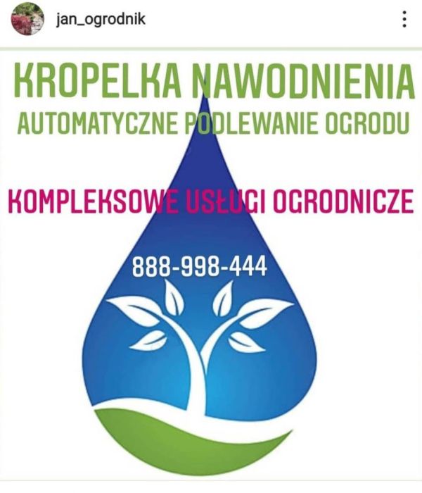 Usługi Ogrodnicze Ogrodnik: zdjecie 99433185
