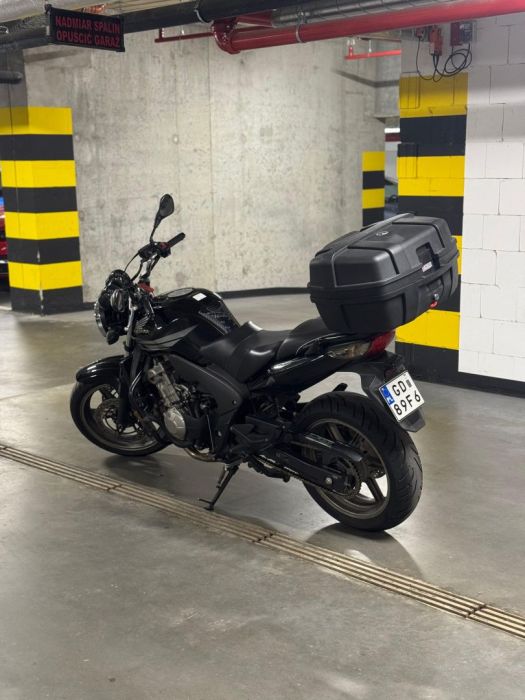 Honda CBF 600 N 2008r.: zdjecie 99438681