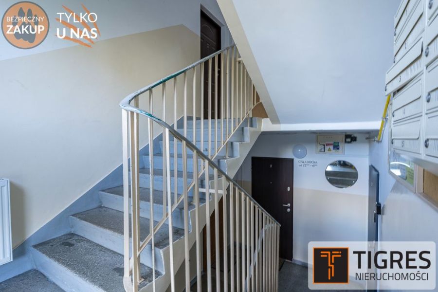 Do wprowadzenia | Park Reagana | Po remoncie: zdjecie 99443208