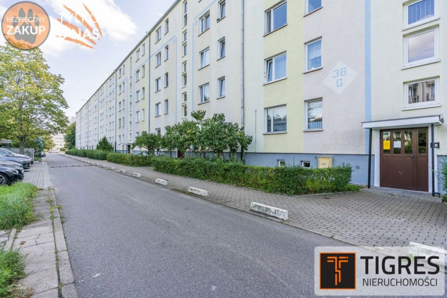 Do wprowadzenia | Park Reagana | Po remoncie: zdjecie 99443209