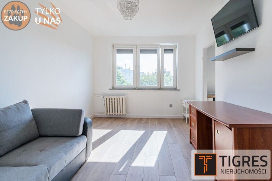 Do wprowadzenia | Park Reagana | Po remoncie: zdjecie 99443200