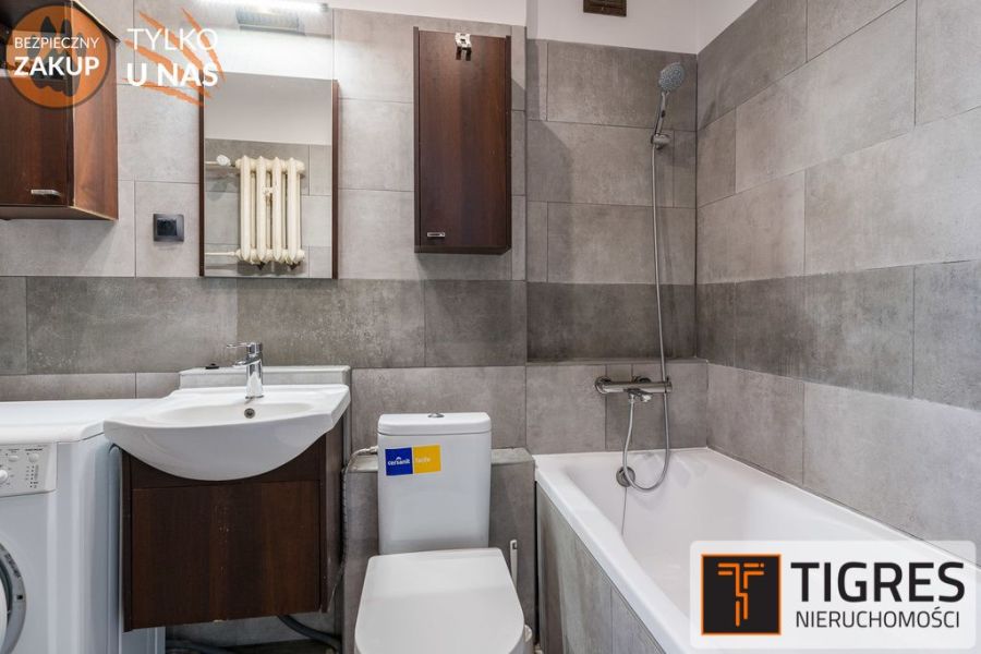 Do wprowadzenia | Park Reagana | Po remoncie: zdjecie 99443205