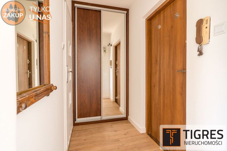 Do wprowadzenia | Park Reagana | Po remoncie: zdjecie 99443207