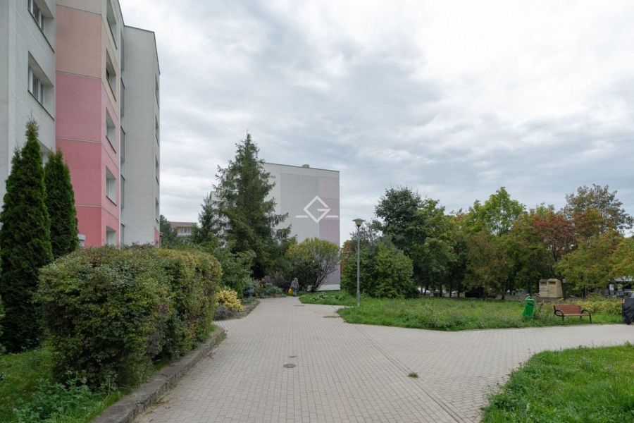 Spółdzielcze I Dużo zieleni I Kolej Metropolitarna: zdjecie 99446954