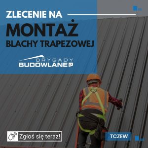 Montaż blachy trapezowej 30000m2 - Tczew: zdjecie 66537384