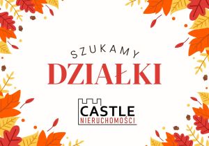 szukamy działki pod budowę na Kaszubach: zdjecie 66538288