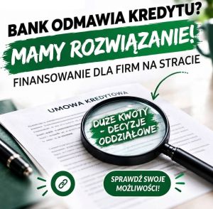 Strata w pit? Niski dochód? Kredyt dla firm: zdjecie 66539299