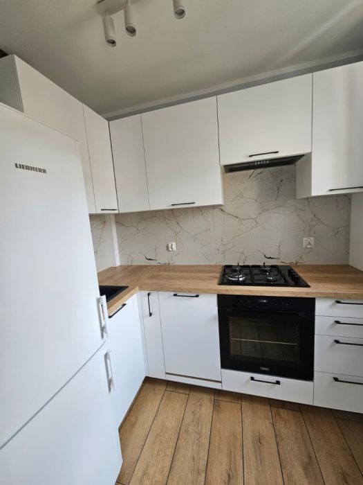 2-pokojowe mieszkanie na wynajem: zdjecie 99464255